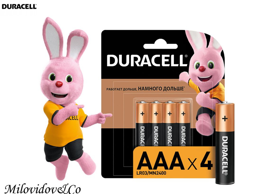 Duracell Батарейка AAA, Щелочной тип, 1,5 В, 4 шт #1