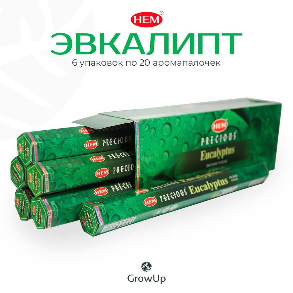 HEM Эвкалипт - 6 упаковок по 20 шт - ароматические благовония, палочки, Eucalyptus - Hexa ХЕМ  #1