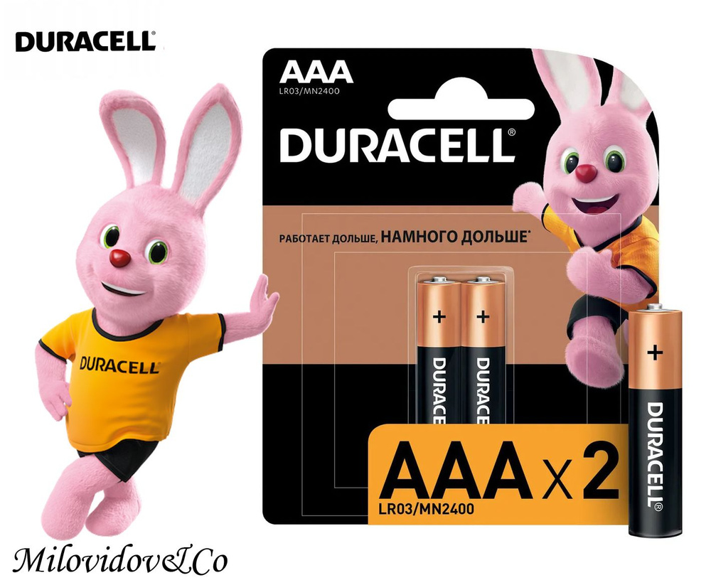 Duracell Батарейка AAA, Щелочной тип, 1,5 В, 2 шт #1