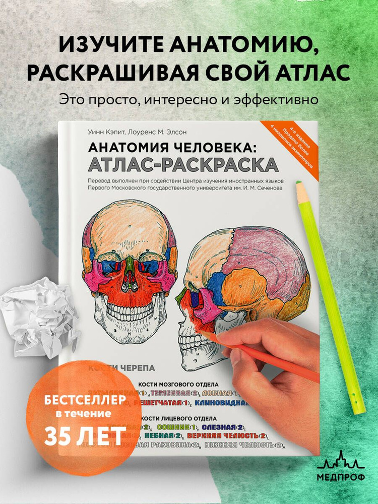 Анатомия человека: атлас-раскраска | Элсон Лоренс М., Кэпит Уинн  #1