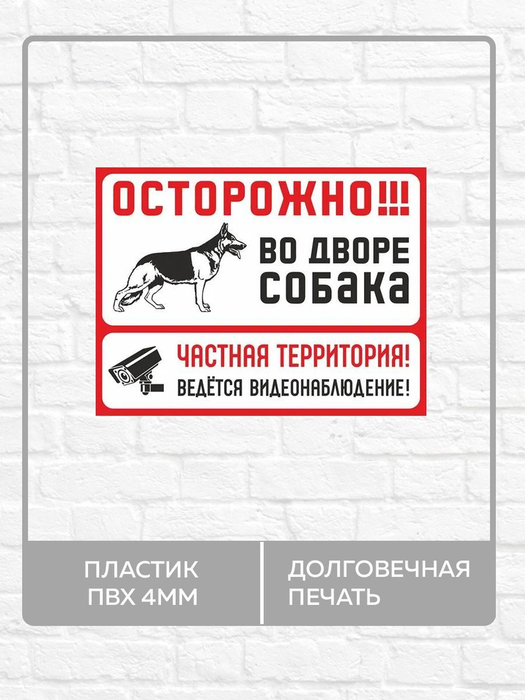 Табличка "Осторожно во дворе собака, ведется видеонаблюдение" А5 (20х15см)  #1