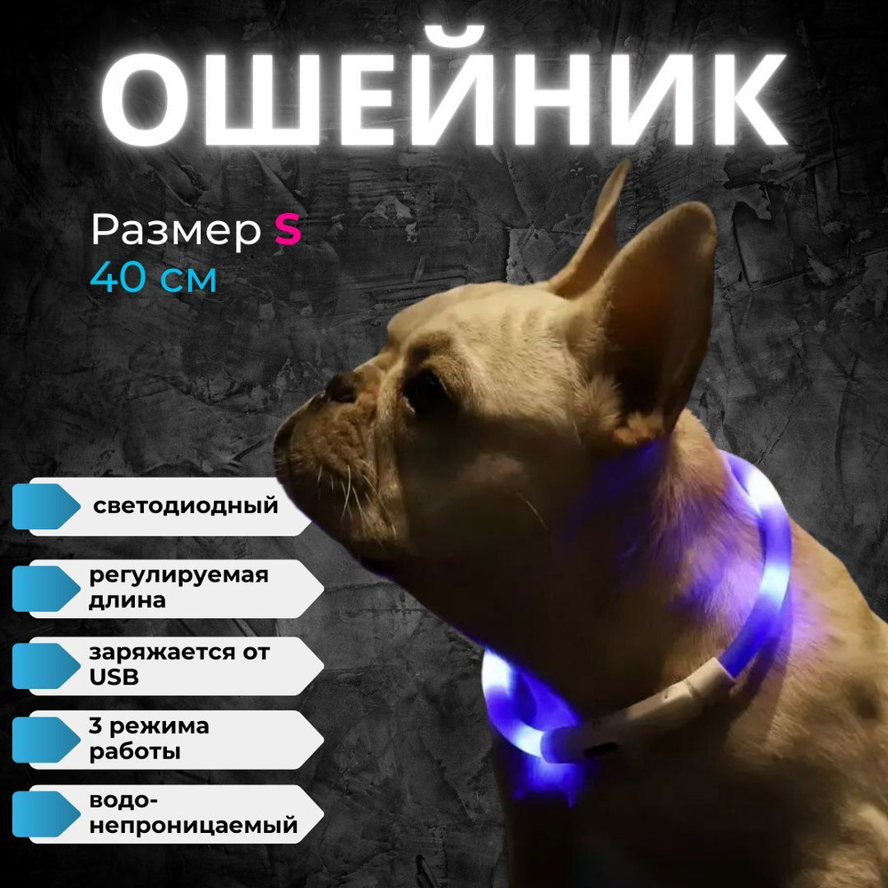 Светящийся ошейник для собак и кошек прогулочный LED 40 см синий, точечный свет, ZOOWELL  #1