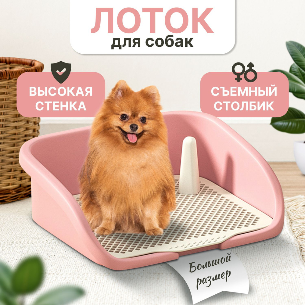 Лоток туалет для собак со столбиком. Розовый - купить с доставкой по ...