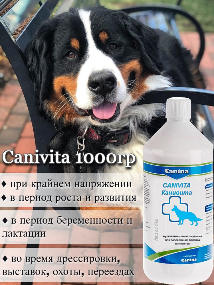 Добавка в корм для собак и кошек Canina Canivita, витамины для животных ...