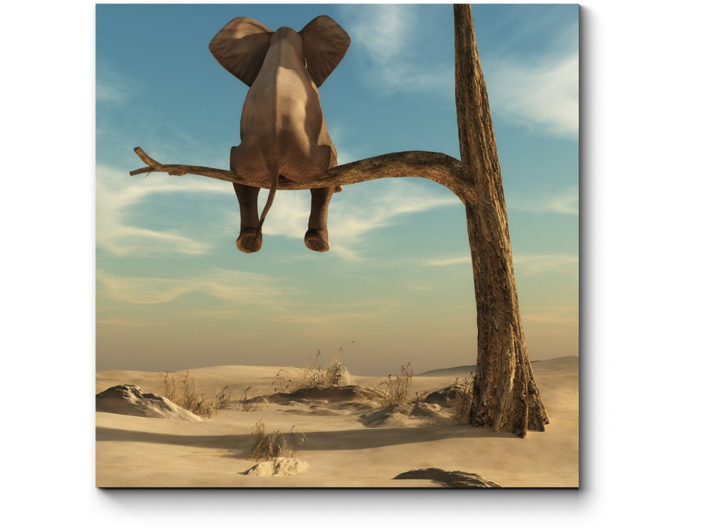 Картина модульная на холсте для интерьера горизонтальная, Слон на ветке, PICSIS, 70x70  #1