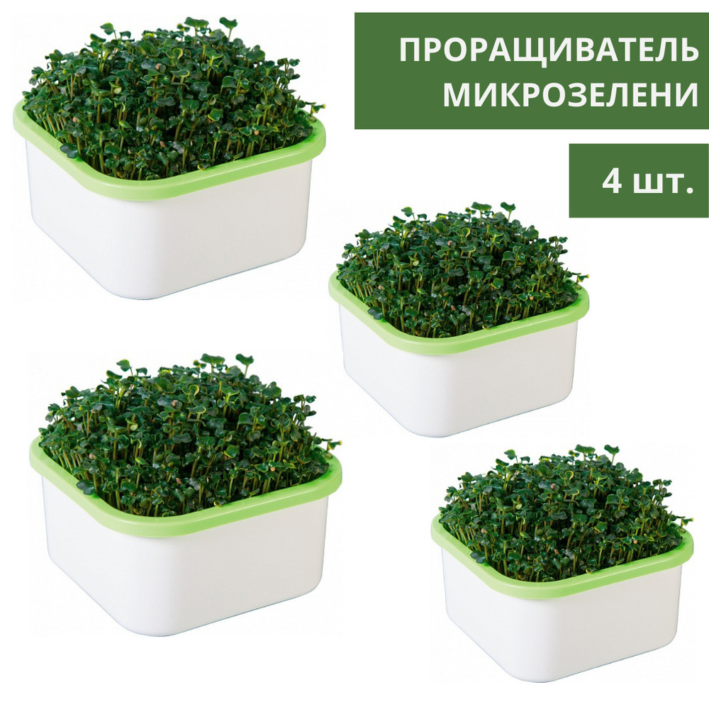 Проращиватель микрозелени - 4 шт.,Здоровья клад, выращиватель для домашнего использования  #1