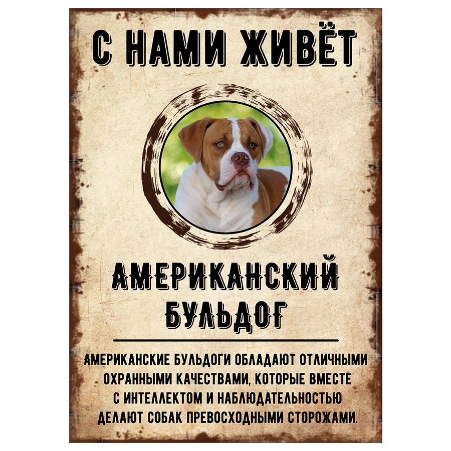 Табличка, декоративная, DANGER DOG, С нами живет Американский бульдог, 18см х 25см  #1