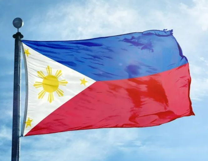 Флаг Филиппин 70х105 см #1