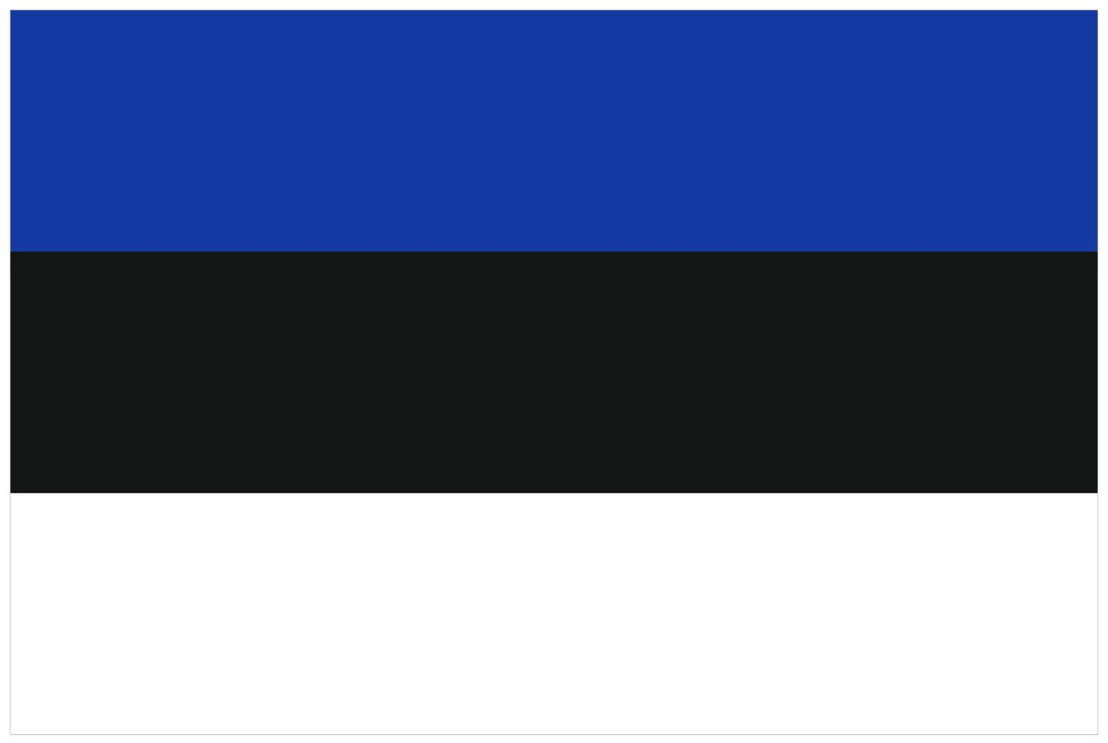 Флаг Эстонии 70х105 см #1