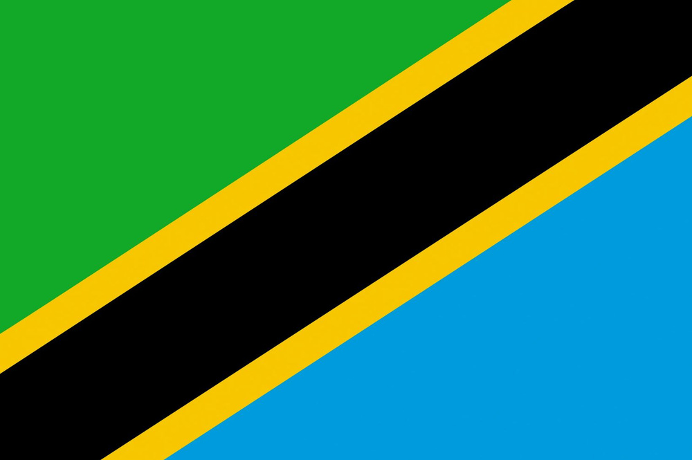 Флаг Танзании 80х120 см с люверсами #1