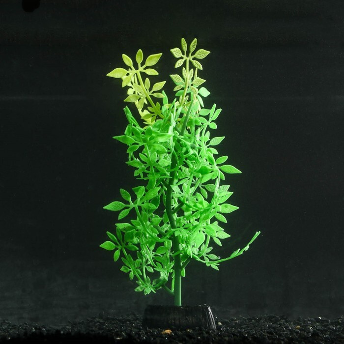 Растение силиконовое аквариумное, светящееся в темноте, 8х19 см, зелёное  #1