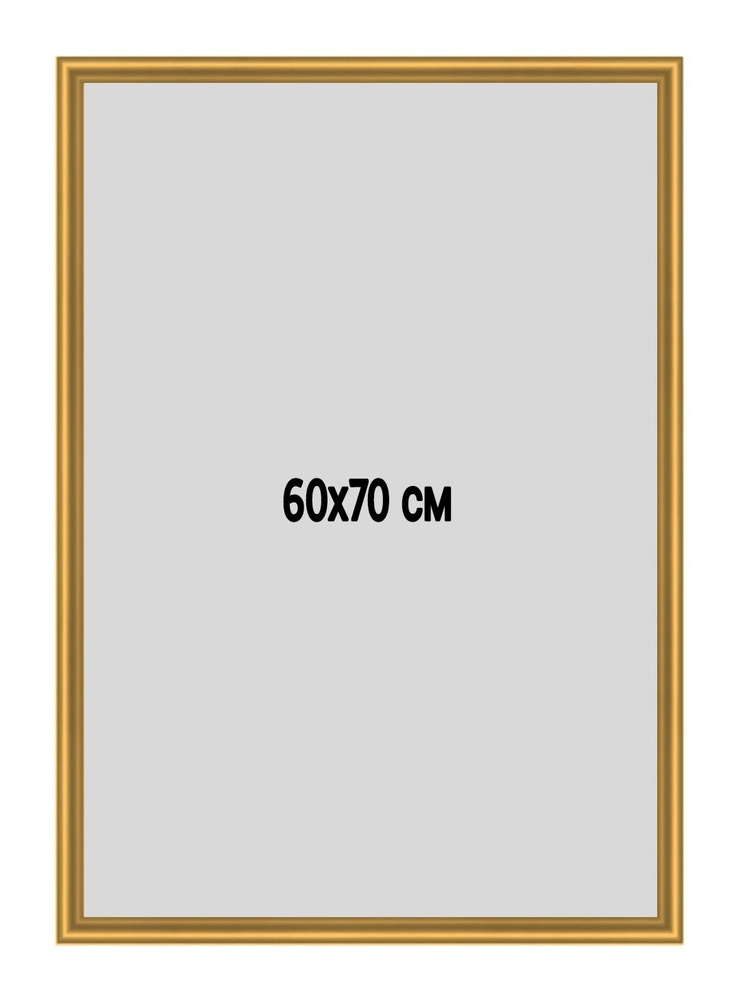 Фоторамка металлическая (алюминиевая) золотая для постера, фотографии, картины 60х70 см. Рамка для зеркала. #1