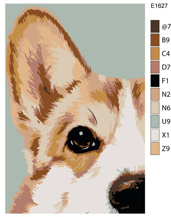 Детская картина по номерам E1627 "Глаза королевского корги" 20x30  #1