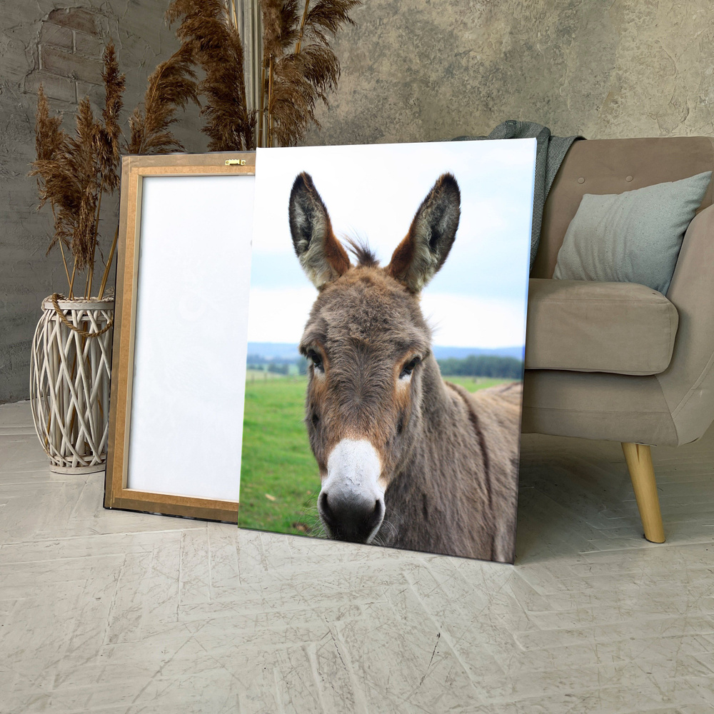 Картина на холсте (осел ишак и the donkey sanctuary милый ослик иа) 80x100  см/для интерьера/в комнату/на стену/в подарок - купить по низкой цене в  интернет-магазине OZON (1550115348)