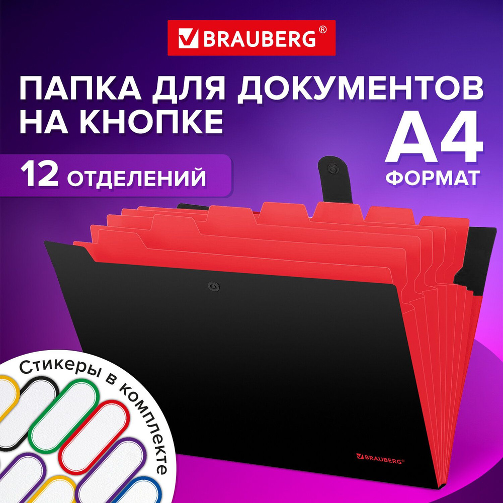 Brauberg Папка-портфолио A4 (21 × 29.7 см), 1 шт. #1