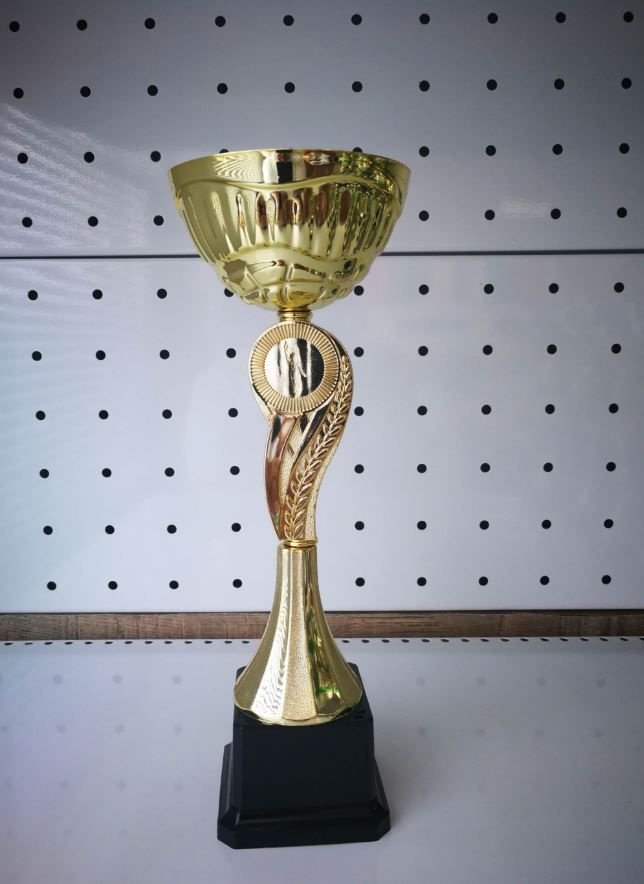 Кубок спортивный Данко, высота 28 см #1