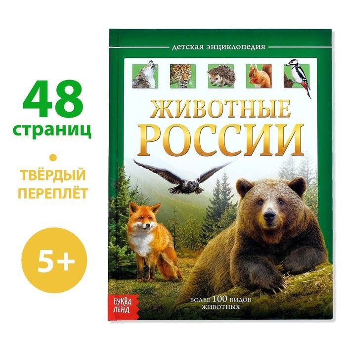 Детская энциклопедия в твёрдом переплёте Животные России , 48 стр. | Соколова Юлия Сергеевна  #1