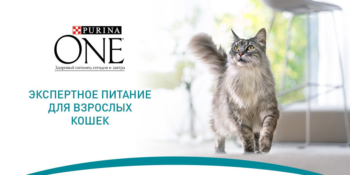 Purina One Cat Adult