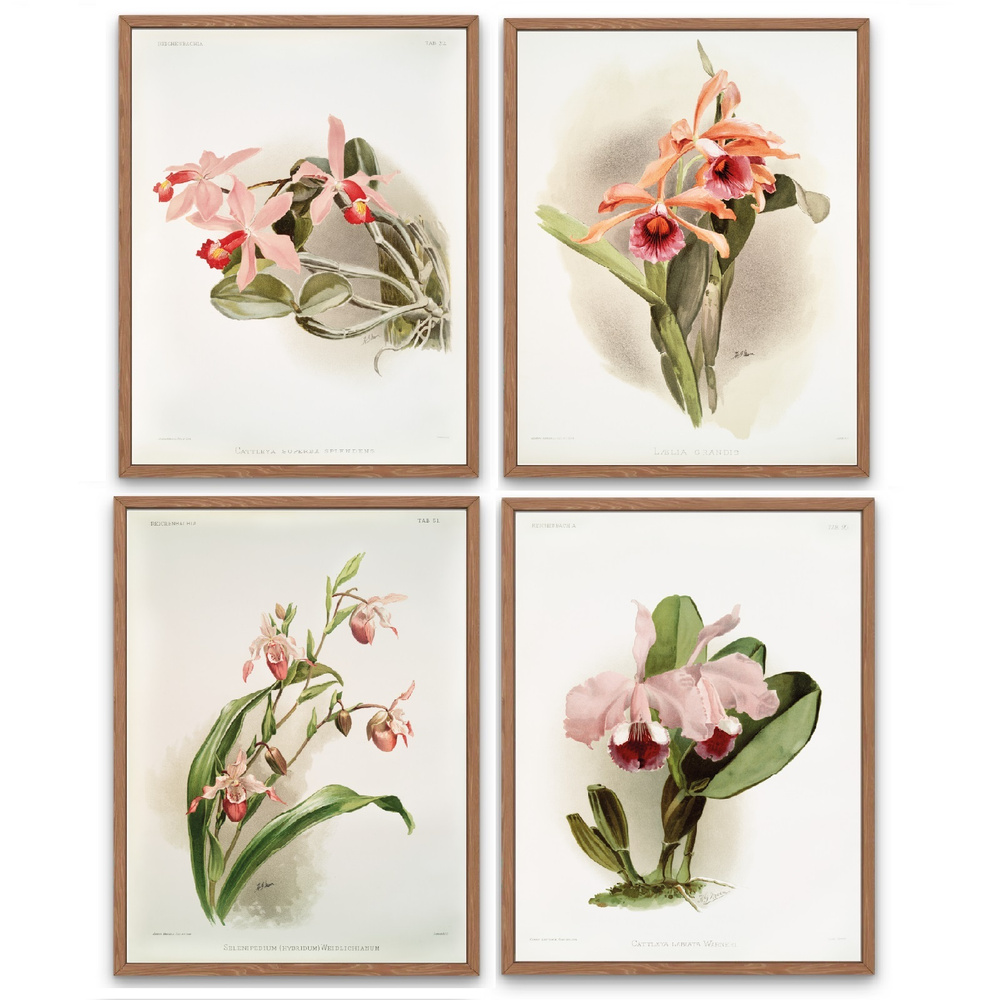 Набор интерьерных постеров 21х30 см, 4 шт "Орхидеи" без рамок / картины для интерьера / постеры цветы #1