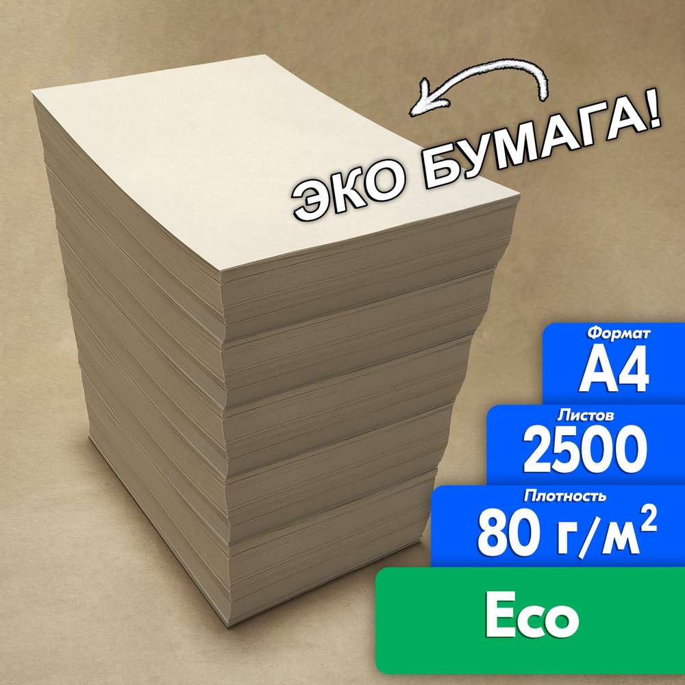 Бумага А4 Светогорка ЭКО 2500 листов, с ндс ECO 80 гр для оргтехники рисования творчества  #1