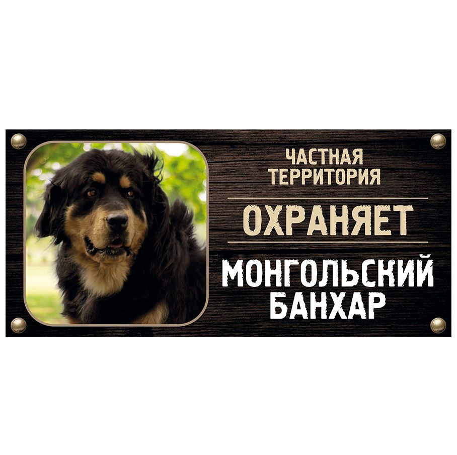 Табличка, Злая собака, Территорию охраняет Территорию охраняет Монгольский банхар, на металлической основе, #1