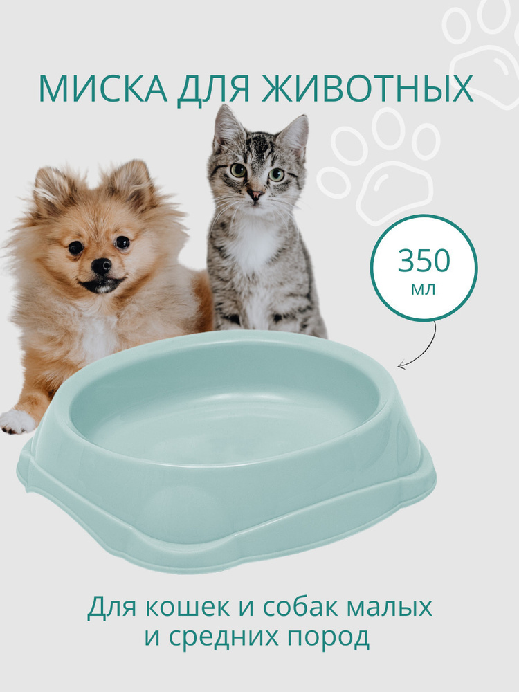 Миска для кошек, для собак DD Style / Пластиковая миска для воды и корма, ментоловый, 350 мл  #1