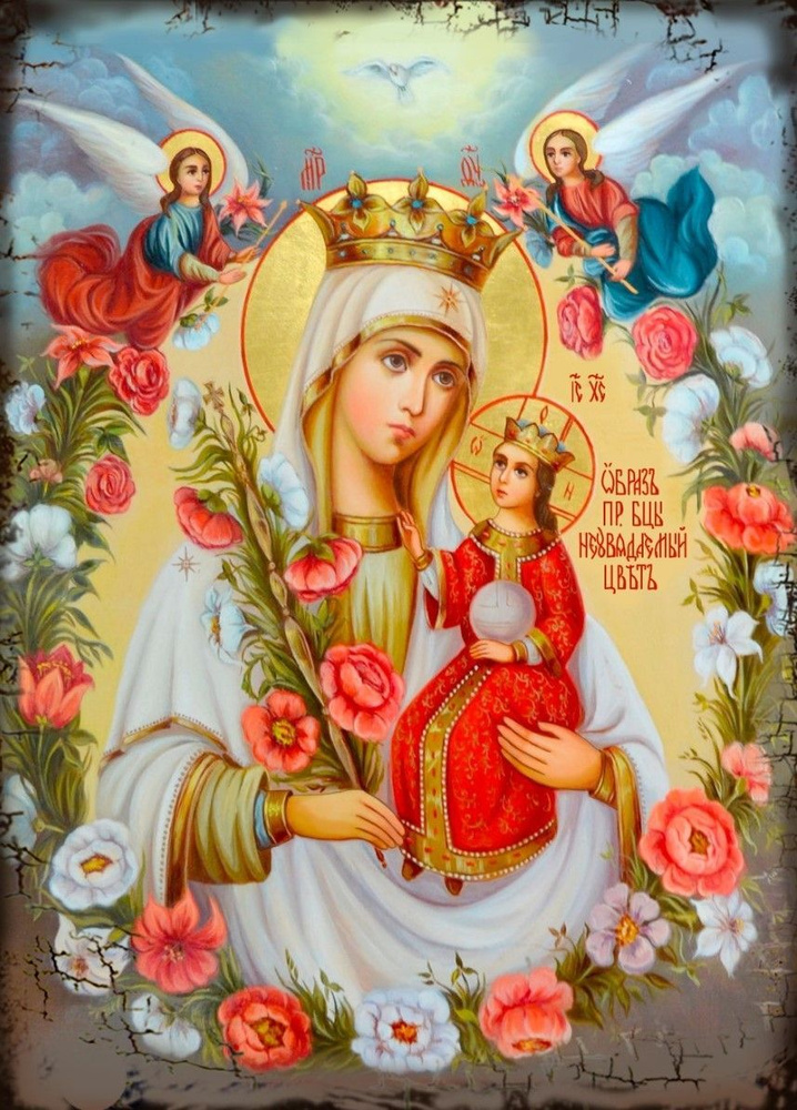 Икона Божией Матери под старину "Неувядаемый цвет", 23х17 см  #1