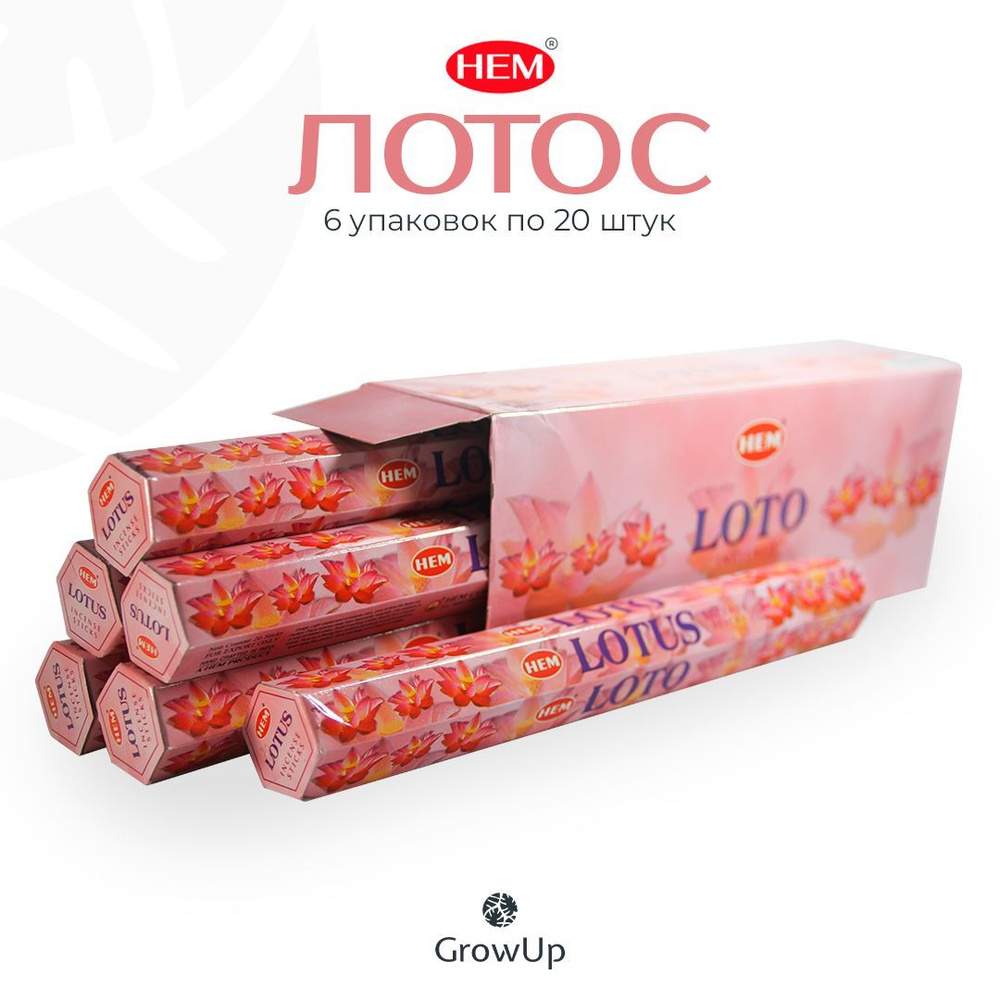 HEM Лотос - 6 упаковок по 20 шт - ароматические благовония, палочки, Lotus - Hexa ХЕМ  #1