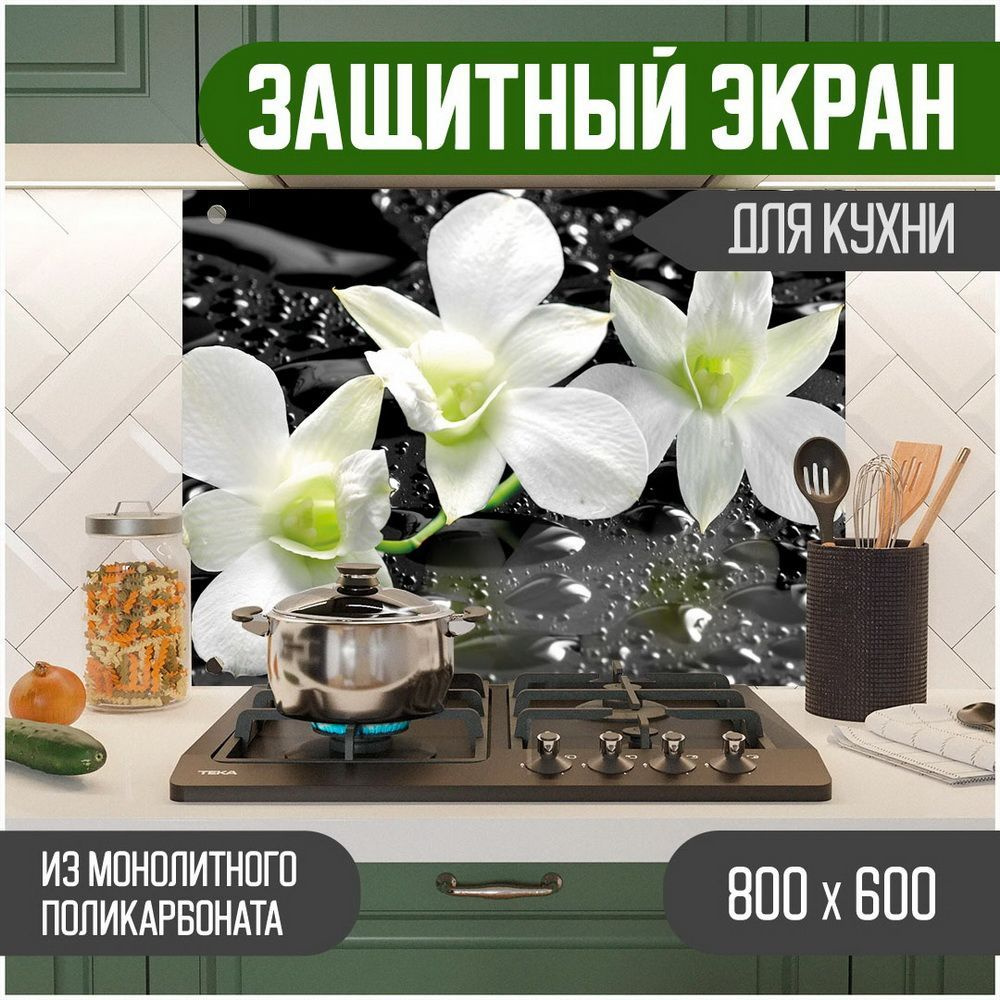 Фартук для кухни на стену, кухонный фартук, панель на кухню с фотопечатью из поликарбоната. Стеновые #1