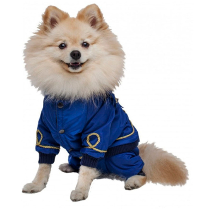 Одежда DogVille комплект полукомбинезон и куртка, на кнопках, демисезон 21см  #1