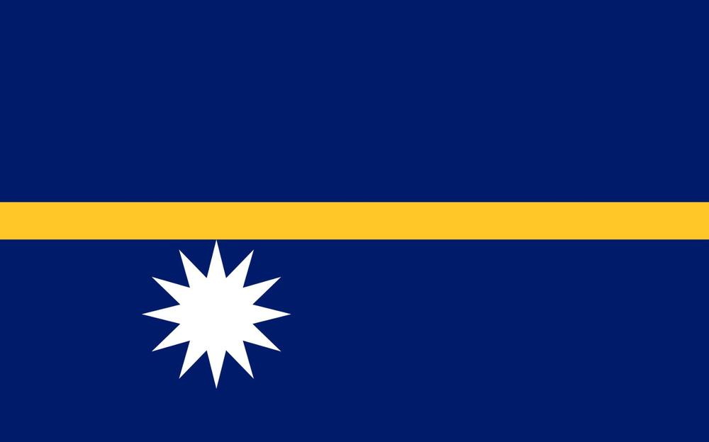 Флаг Науру 40х60 см с люверсами #1