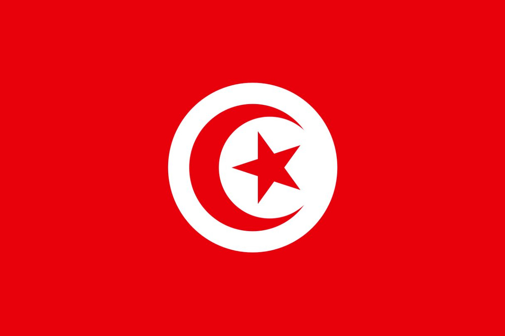 Флаг Туниса 90х135 см #1
