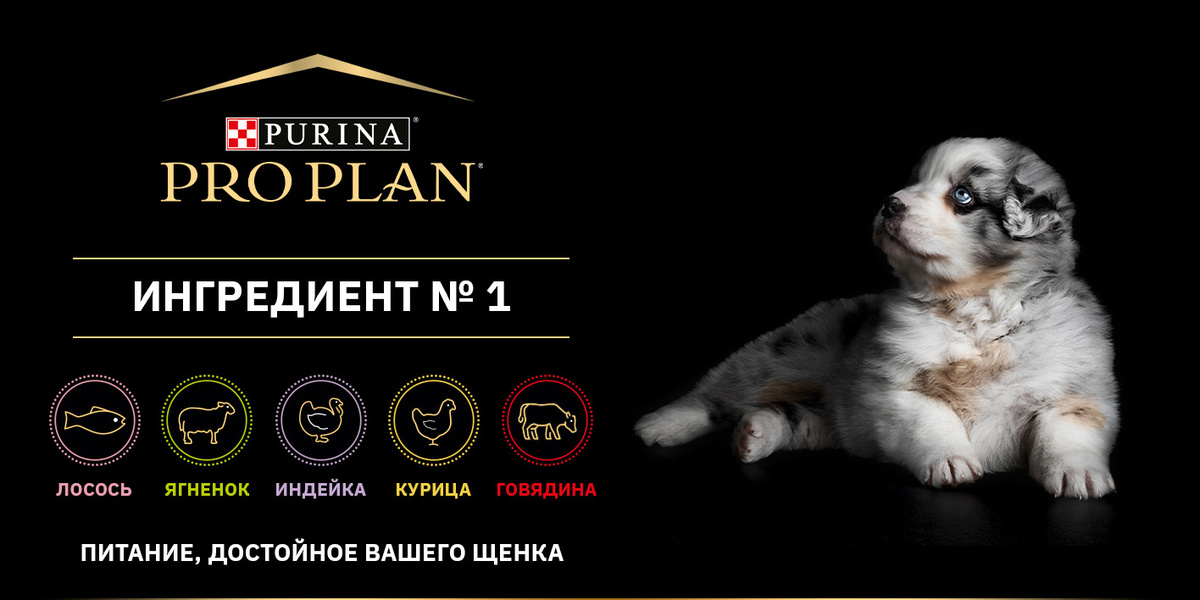 Purina Pro Plan