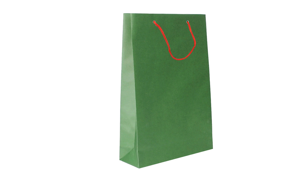Пакет подарочный из эфалина Зеленый, размеры 240х350х80 мм #1