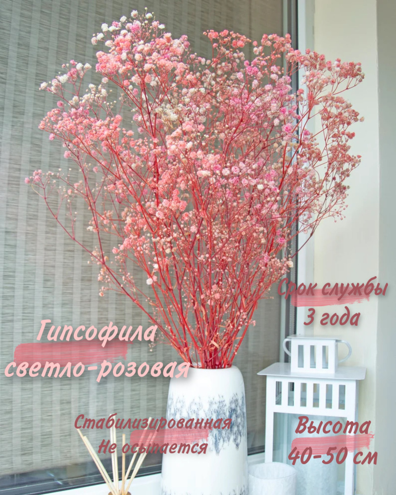 MC Стабилизированные цветы Гипсофила, 45 см, 130 гр, 1 шт #1