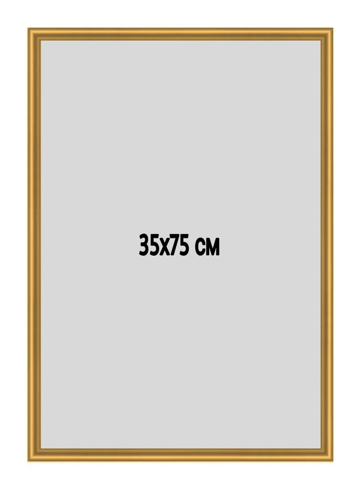Фоторамка металлическая (алюминиевая) золотая для постера, фотографии, картины 35х75 см. Рамка для зеркала. #1
