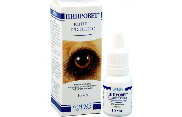 Капли Ципровет глазные 10 мл - купить с доставкой по выгодным ценам в ...