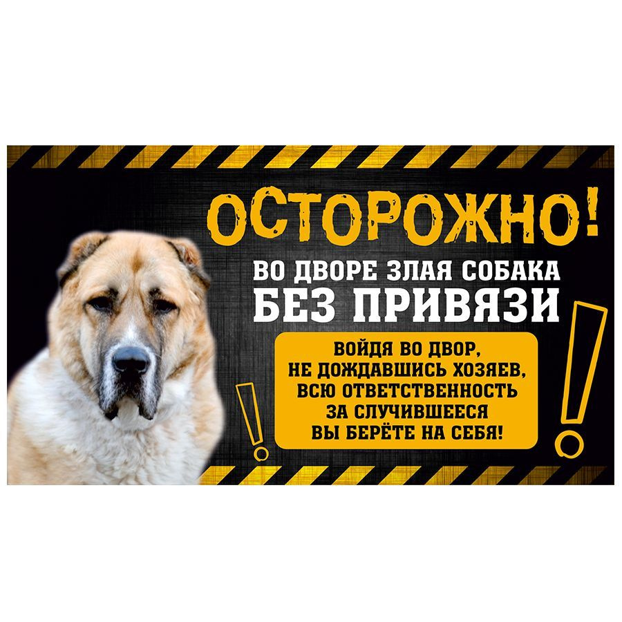 Табличка, с юмором, прикол, DANGER DOG, Осторожно! Во дворе собака без привязи, Алабай, 25x14 см  #1