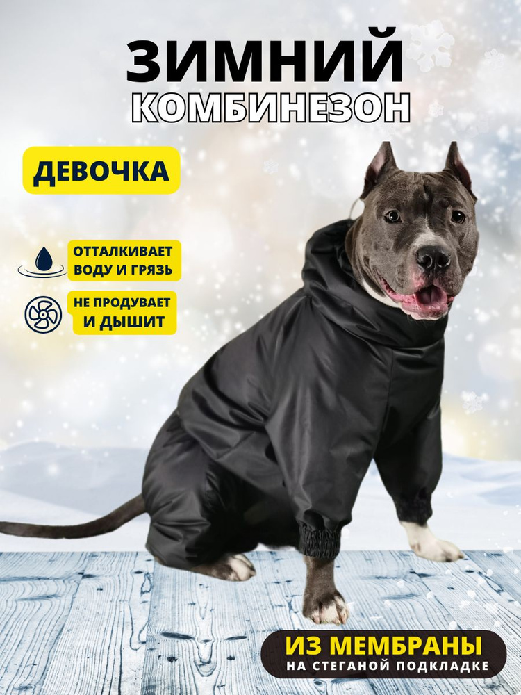 Комбинезон зимний для собак средних пород SNOW plus, 50+ж (сука), черный, 3XL+  #1