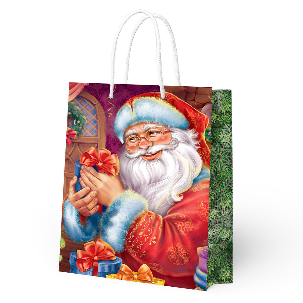 Пакет подарочный ND Play / Дед Мороз с подарками-2, 250*350*100 мм, бумажный, 299370  #1