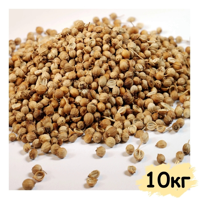 Кориандр зерно (целый) 10 000 гр, 10 кг, Вегетарианский продукт, Vegan  #1