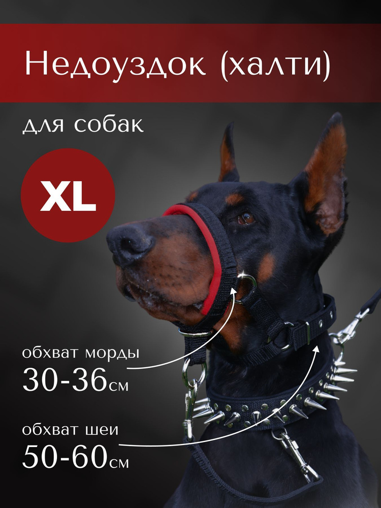 Недоуздок(халти) TESLA COLLAR для собак "XL" с красным подкладом  #1