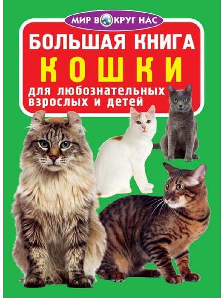 Большая книга. Кошки #1