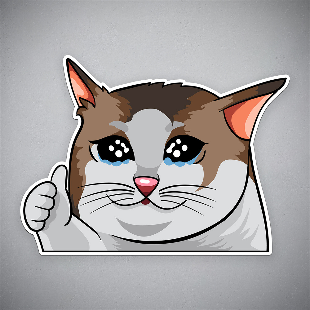 Наклейка на авто "Заплаканный кот - мем" размер 24x17 см #1