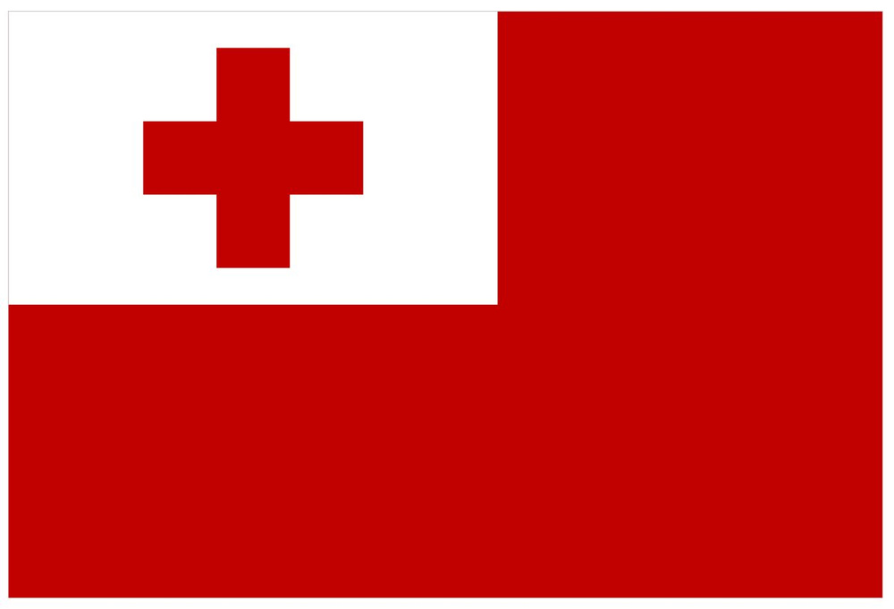 Флаг Тонга 40х60 см с люверсами #1