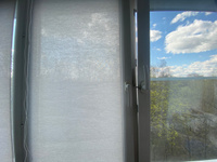 Рулонные шторы LmDecor 57х160 см, жалюзи на окна 57 ширина, рольшторы #19, Елизавета Г.