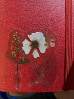 Эстетичные наклейки Засушенные цветы 40 шт. для ежедневника скрапбукинга, на телефон, ноутбук, для заметок. Подарочный набор для творчества #5, Мария М.