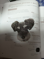 Портретная вышивка. Самоучитель по рисованию собак вышивальной иглой (чихуахуа) #3, Екатерина О.