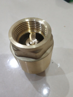 Обратный клапан с металлическим штоком с уплотнительным кольцом для скважинного насоса 1" внутренняя - наружная, TIM арт. JH-1012A #16, Роберт В.