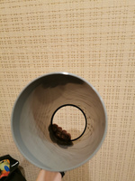 Труба канализационная 110 мм на 30 см #5, Елена